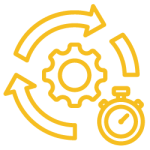 13 lat doświadczenia